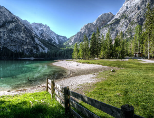 Services Services 01